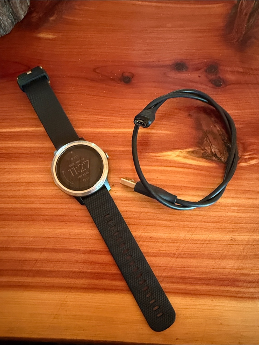 Garmin Vivoactive 3